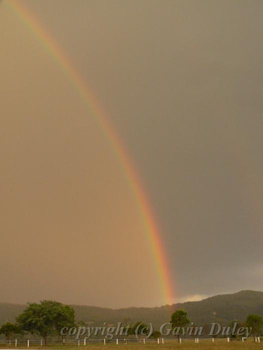 Rainbow, Boonah Fassifern Road P1080069.JPG